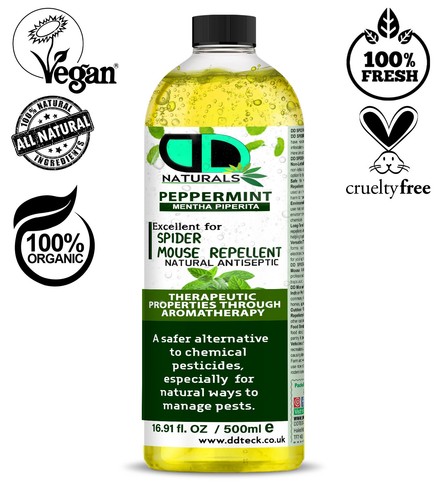 Spider mouse repellent - spider,